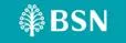 BSN